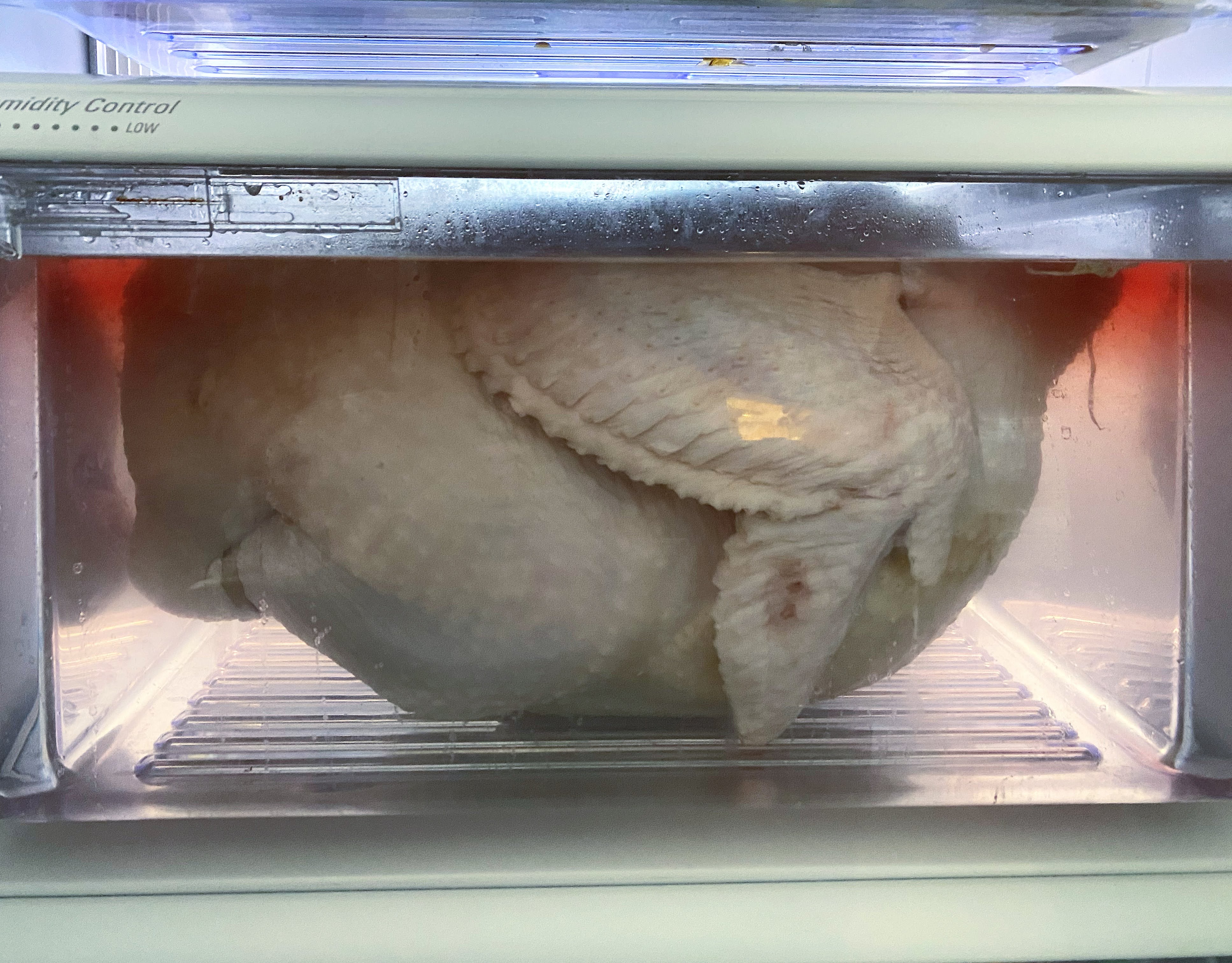 Thanksgiving
